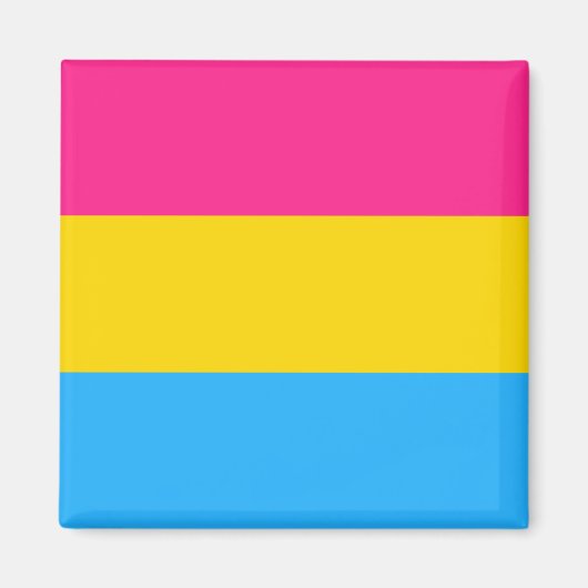 Pansexual Pride Magneet (Voorkant)