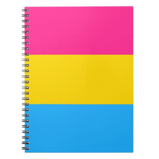 Pansexual Pride Notitieboek (Voorkant)