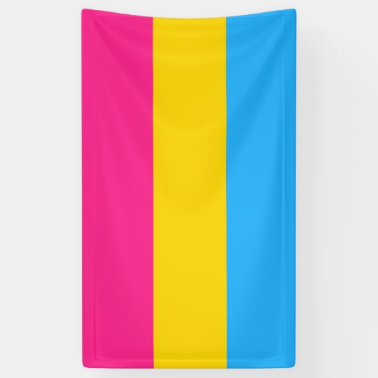 Pansexual Pride (Pan Flag) Spandoek (Verticaal)