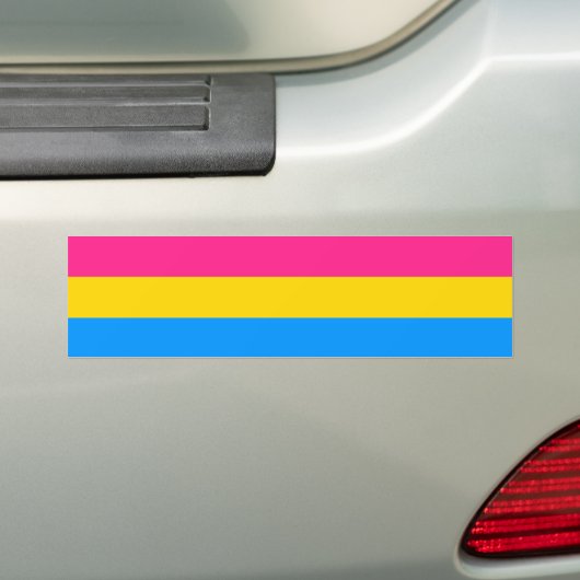 PANSEXUAL PRIDE.png Bumpersticker (Op auto)