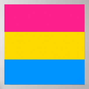 PANSEXUAL PRIDE STRIPES ONTWERP POSTER