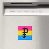 PANSEXUAL PRIDE VLAG STREPEN ONTWERP MAGNEET (Insitu (Vaatwasser))