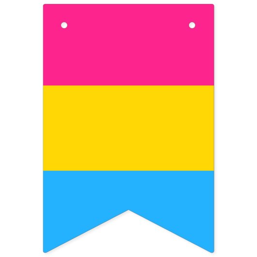 Pansexuality pride flag banner (Derde vlag)