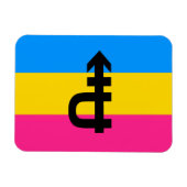 Pansexuele Pridevlag Magneet (Horizontaal)