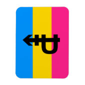 Pansexuele Pridevlag Magneet (Verticaal)