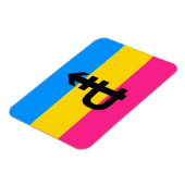 Pansexuele Pridevlag Magneet (Linkerzijde)