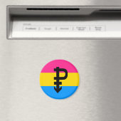 Pansexuele Pridevlag Magneet (Insitu (Vaatwasser))