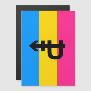 Pansexuele Pridevlag Magnetische Uitnodiging