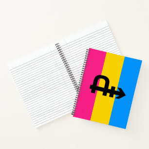 Pansexuele Pridevlag Notitieboek