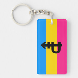 Pansexuele Pridevlag Sleutelhanger