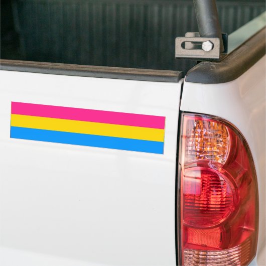PANSEXUELE VLAGBAR BUMPERSTICKER (Op Truck)