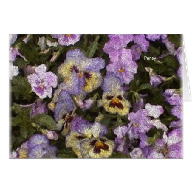 Pansies 01 (Voorkant Horizontaal)