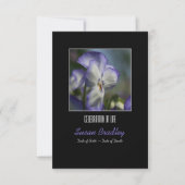 Pansies 1 Herdenking van de levensdenkdienst Kaart (Voorkant)