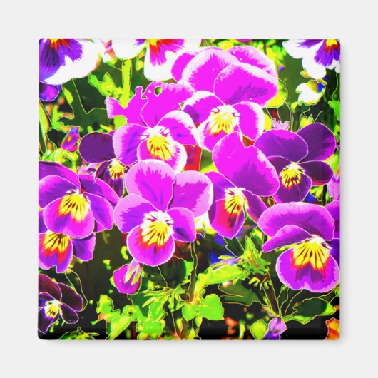 Pansies_2006_Magneet Magneet (Voorkant)