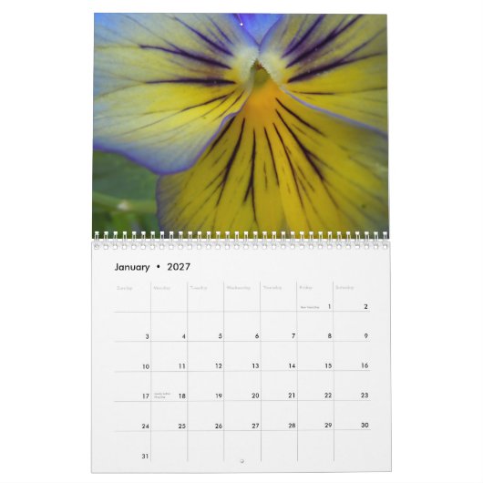 Pansies 2015 kalender (Jan 2027)