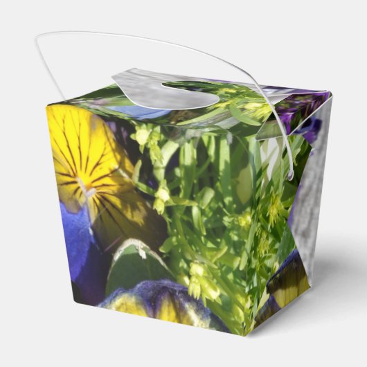 PANSIES! BEDANKDOOSJES (Achterkant)