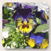 PANSIES! BIER ONDERZETTER (Voorkant)