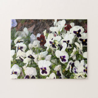 Pansies Bloemen Puzzel