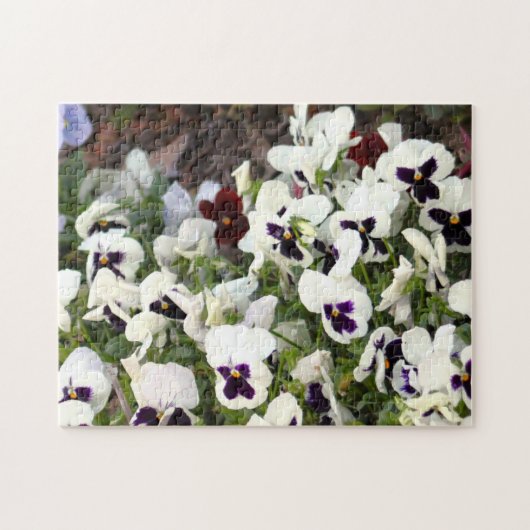 Pansies Bloemen Puzzel (Horizontaal)