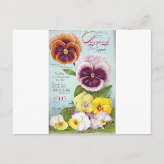  Pansies Briefkaart