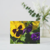 Pansies Briefkaart (Staand voorkant)