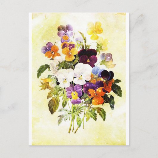 Pansies Briefkaart (Voorkant)