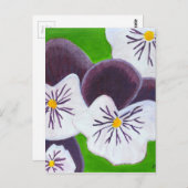 Pansies Briefkaart (Voorkant / Achterkant)