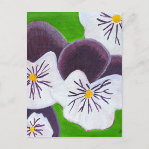 Pansies Briefkaart