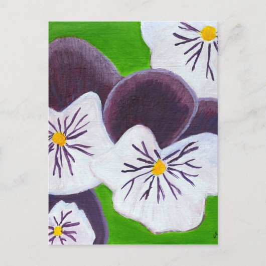 Pansies Briefkaart (Voorkant)