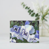 PANSIES BRIEFKAART (Staand voorkant)