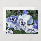 PANSIES BRIEFKAART (Voorkant / Achterkant)