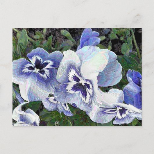 PANSIES BRIEFKAART (Voorkant)