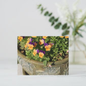 Pansies Briefkaart (Staand voorkant)