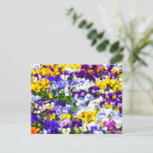 Pansies Briefkaart (Staand voorkant)