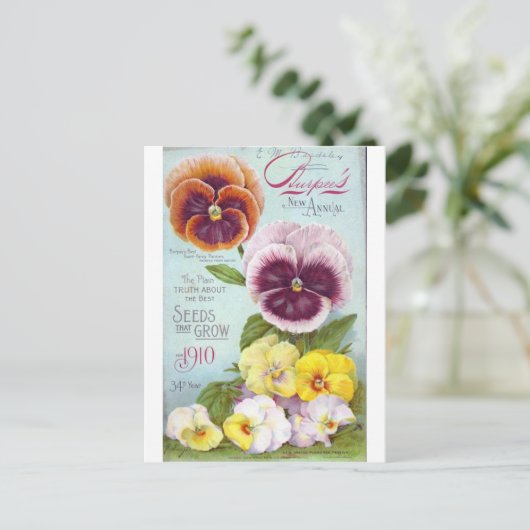 Pansies Briefkaart (Staand voorkant)