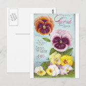  Pansies Briefkaart (Voorkant / Achterkant)