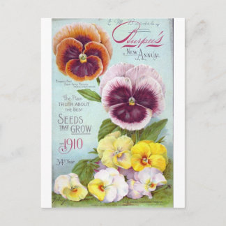  Pansies Briefkaart
