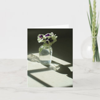 Pansies-briefkaart Kaart