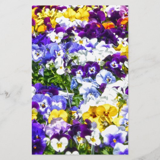 Pansies Briefpapier (Voorkant)