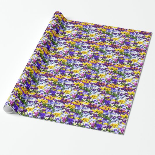 Pansies Cadeaupapier (Uitgerold)