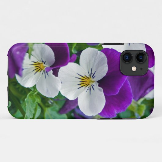  Pansies Case-Mate iPhone Case (Achterkant (horizontaal))