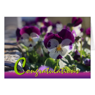 Pansies CC0473 Flower Celebration Card