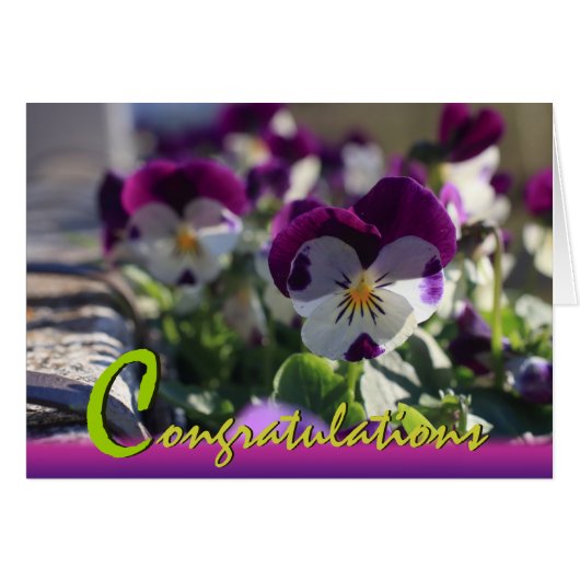 Pansies CC0473 Flower Celebration Card (Voorkant Horizontaal)