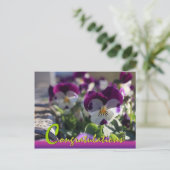 Pansies CC0474 Flower Celebration Briefkaart (Staand voorkant)