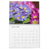  pansies en primroses kalender (Jan 2027)