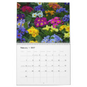  pansies en primroses kalender (Feb 2027)