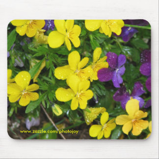 Pansies en Regen Muismat