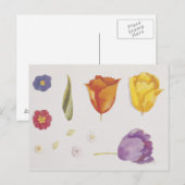 Pansies en tegels briefkaart (Voorkant / Achterkant)