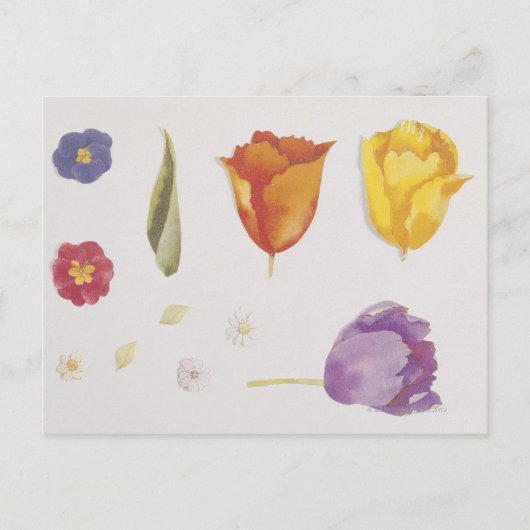 Pansies en tegels briefkaart (Voorkant)