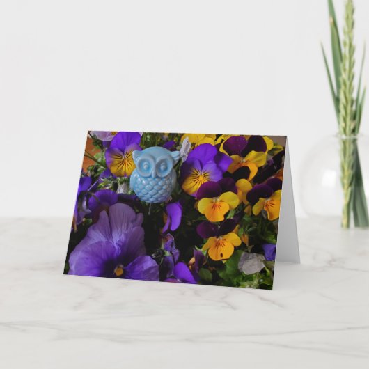 Pansies en uil kaart (Voorkant)